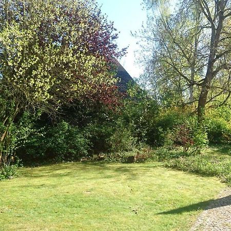 Sonniges Haeuschen Mit Garten Braunschweig Exterior foto