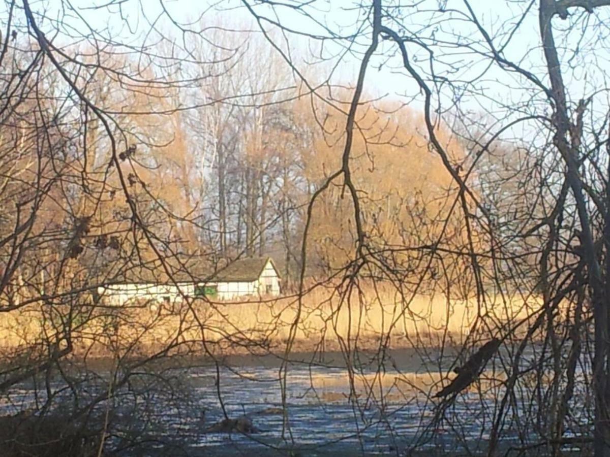 Sonniges Haeuschen Mit Garten Braunschweig Exterior foto