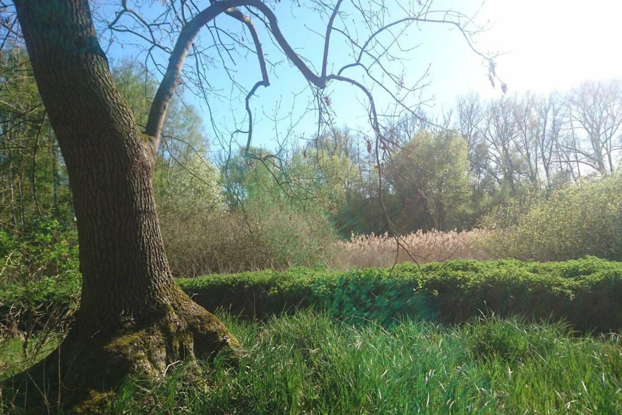 Sonniges Haeuschen Mit Garten Braunschweig Exterior foto